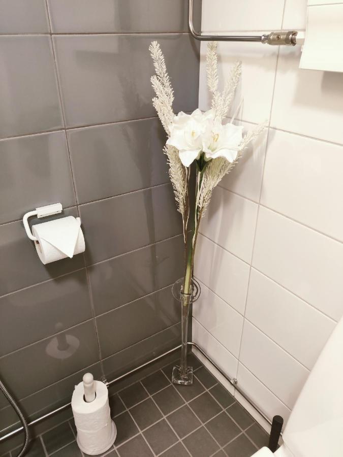 להטי Joutjaerven Studio Apartment מראה חיצוני תמונה